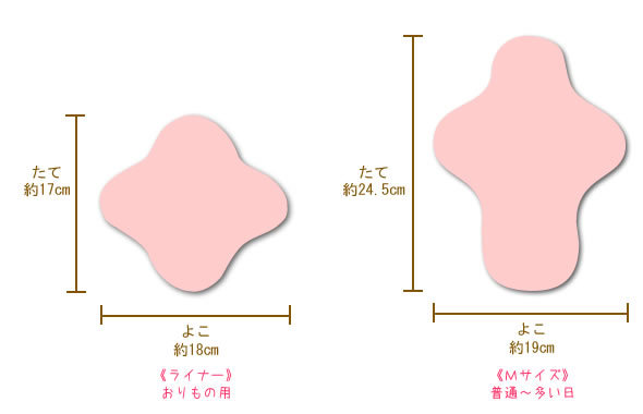 はじめてセットのサイズ