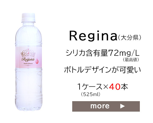 シリカ水 500ml 48本 高濃度シリカ水 シリカウォーター 理想の 