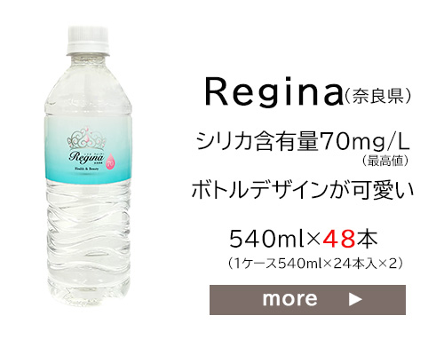 シリカ水 500ml 48本 高濃度シリカ水 シリカウォーター 理想のシリカ 