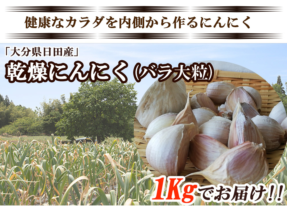 にんにく ニンニク 乾燥にんにく 1kg バラ大粒 ガーリック 産地直送 国産にんにく 国産ニンニク 国産 大分県日田産  :gl-d-ba-o:レモンの木 - 通販 - Yahoo!ショッピング