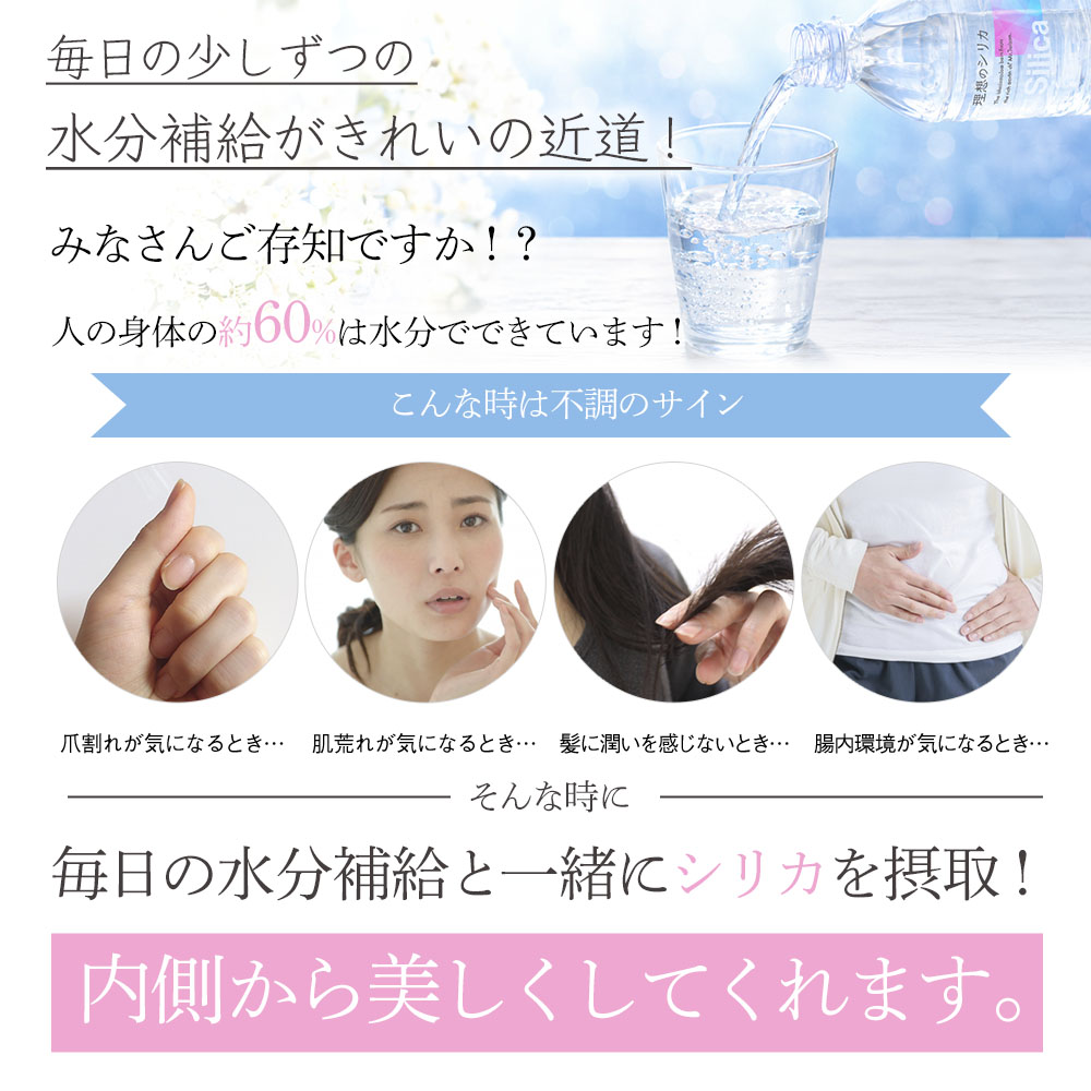 シリカ水 500ml 24本 高濃度シリカ水 シリカウォーター 理想のシリカ