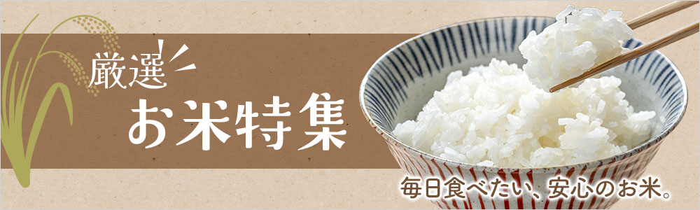コシヒカリ 10kg 滋賀県産 米 お米 こめ 令和7年度米 受注精米 精米