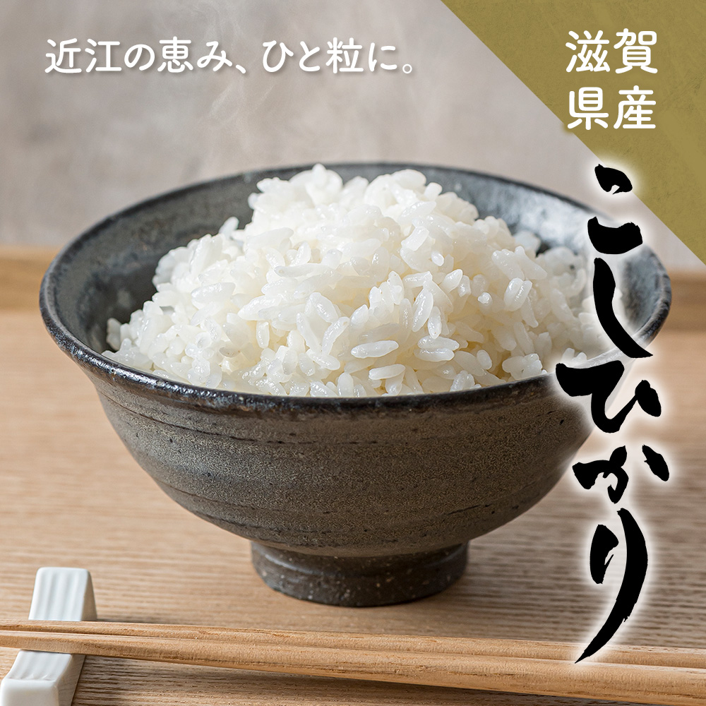 食品 令和7年産 滋賀県産 コシヒカリ 10kg精米済み