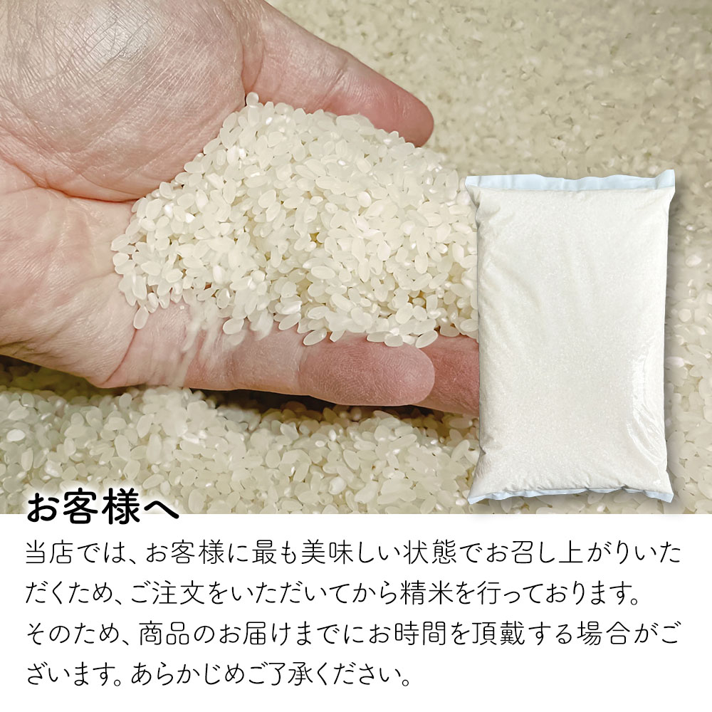 コシヒカリ 10kg 滋賀県産 米 お米 こめ 令和7年度米 受注精米 精米