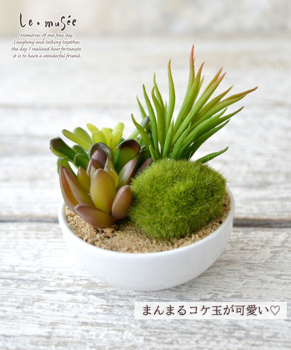 観葉植物 フェイクグリーン 多肉植物 卓上 ミニポット 鉢 おしゃれ