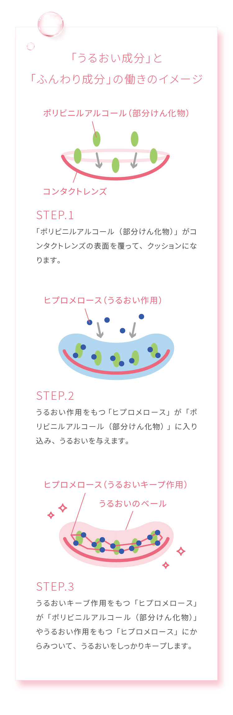 メニコンフィット
