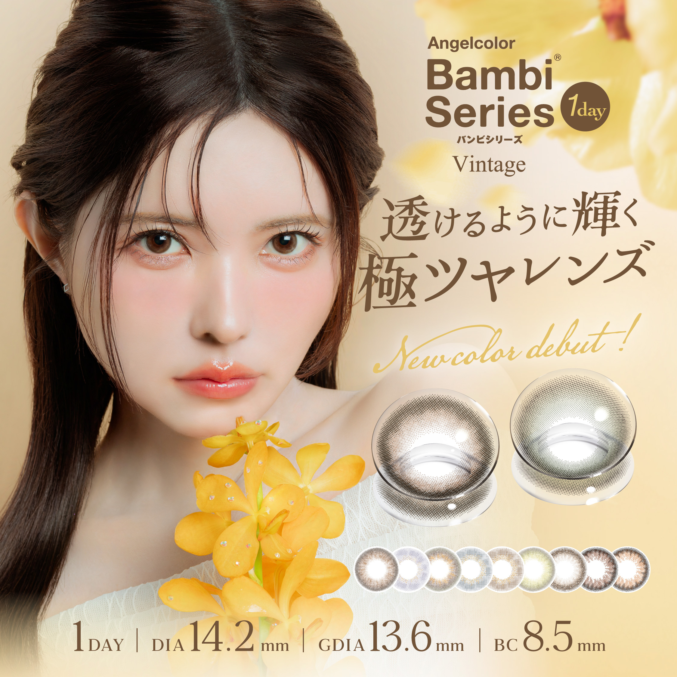 Bambi（Angelcolor） エンジェルカラーワンデー バンビシリーズ