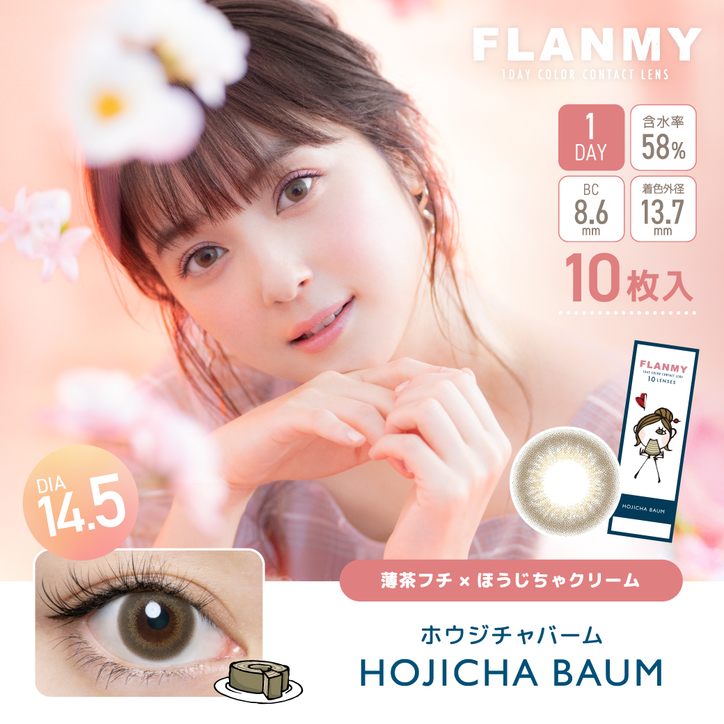 FLANMY 10枚入×6箱 / 送料無料 / メール便｜lens-uno｜17
