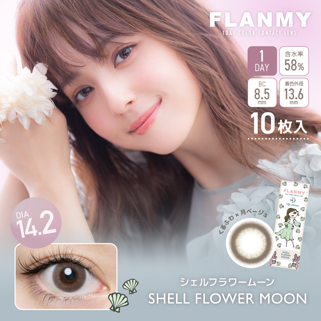 FLANMY 10枚入×6箱 / 送料無料 / メール便｜lens-uno｜18