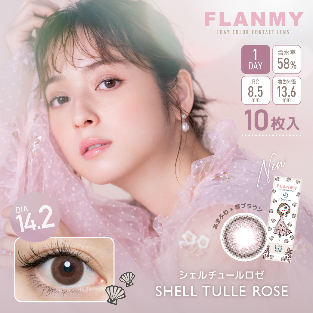 FLANMY 10枚入×6箱 / 送料無料 / メール便｜lens-uno｜20