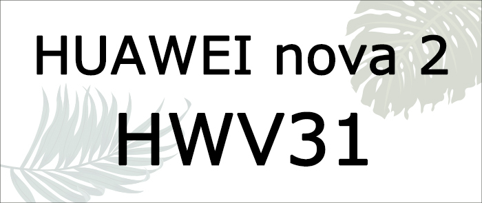 hwv31