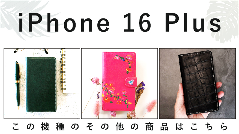 その他のip16plus