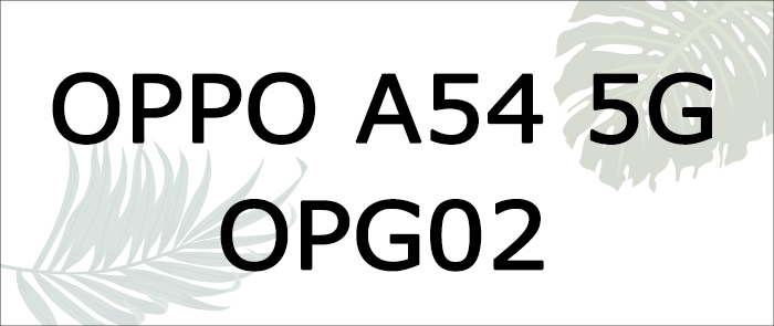 opg02