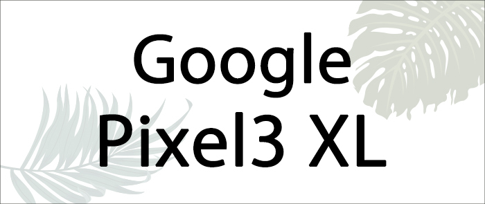 pixel3xl