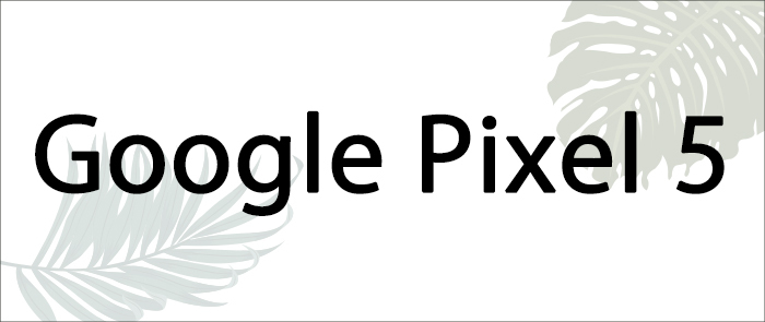 pixel5