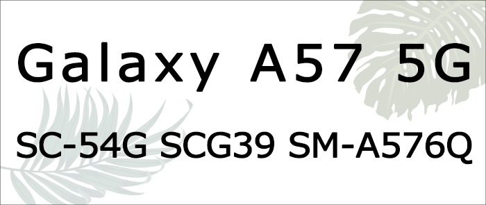 sc54g