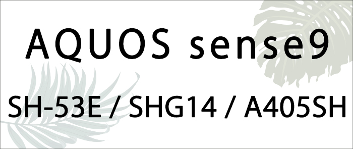 sh53e