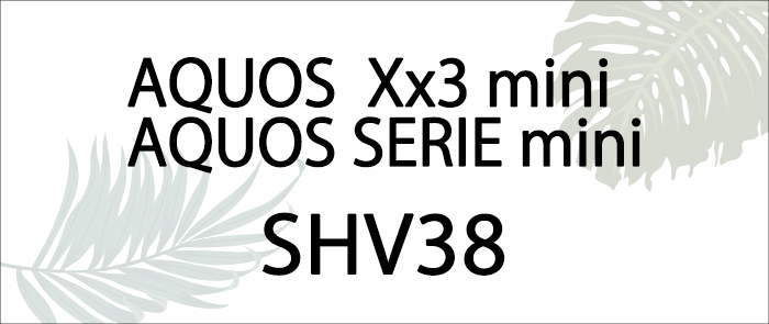 shv38