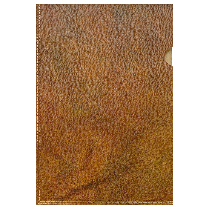 レザーファイル A4 書類入れ 本革 男の型押し ビジネスグッズ A4