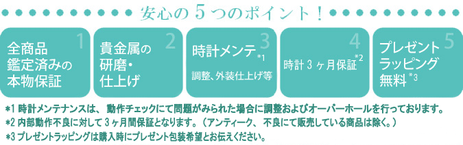 レオン5つのポイント