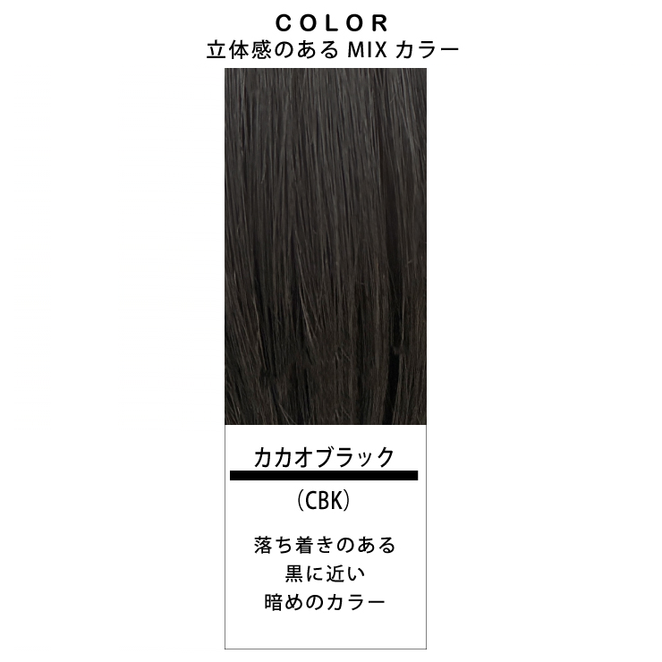 【2,000円クーポン】返品・色交換OK 分け目Lサイズ Web限定商品 部分ウィッグ 頭頂部 ヘアピース 女性用 カバー かつら 簡単 ボリュームアップ 40代 50代 60代の画像