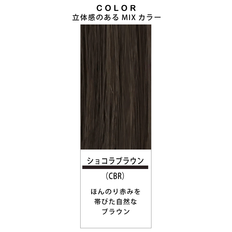 【2,000円クーポン】返品・色交換OK 分け目Lサイズ Web限定商品 部分ウィッグ 頭頂部 ヘアピース 女性用 カバー かつら 簡単 ボリュームアップ 40代 50代 60代の画像