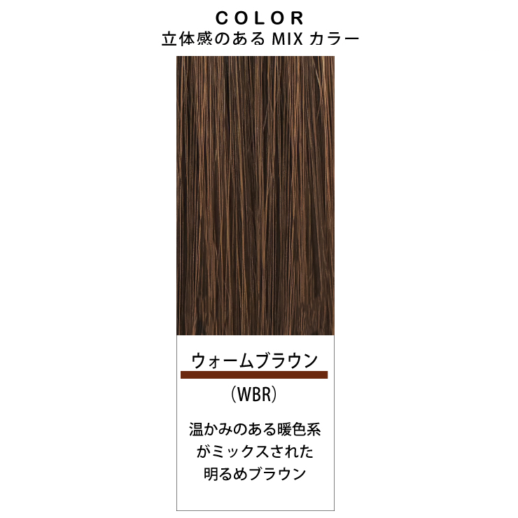 【2,000円クーポン】返品・色交換OK 分け目Lサイズ Web限定商品 部分ウィッグ 頭頂部 ヘアピース 女性用 カバー かつら 簡単 ボリュームアップ 40代 50代 60代の画像