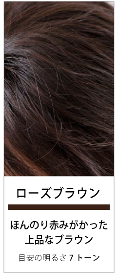 フォンテーヌ トップピース（レディース用ウィッグ、エクステンション