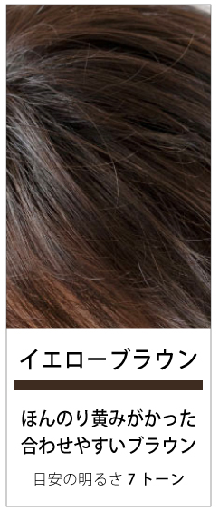 フォンテーヌ トップピース（レディース用ウィッグ、エクステンション