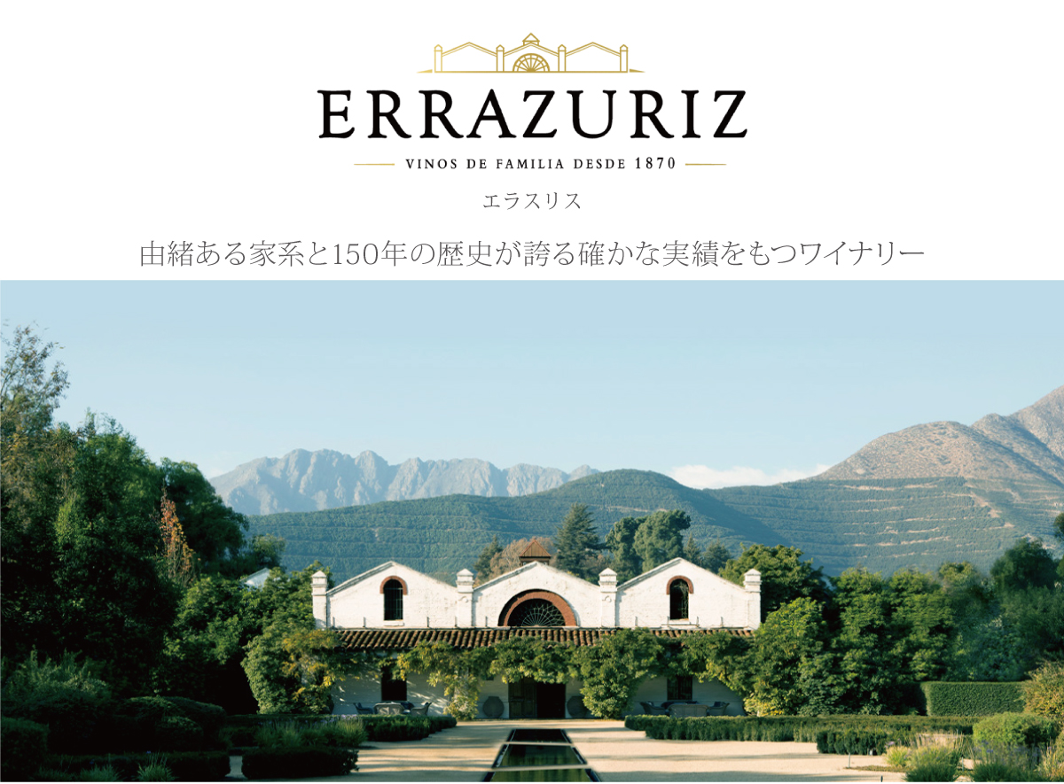 エラスリス カイ 2010年 正規品 辛口 赤ワイン 750ml 【ヴィーニャ