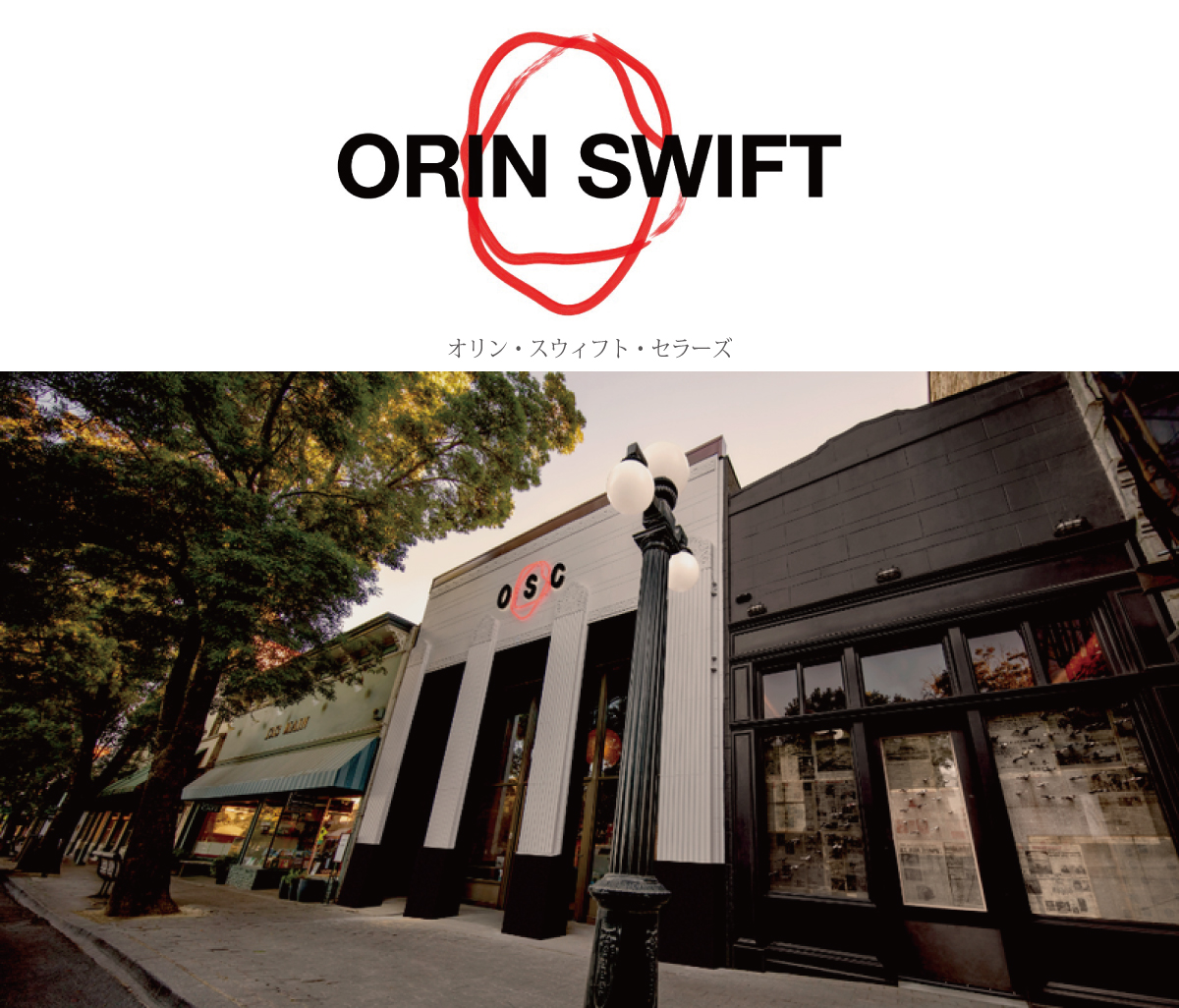 オリン スウィフト セラーズ アブストラクト 2020年 正規品 辛口
