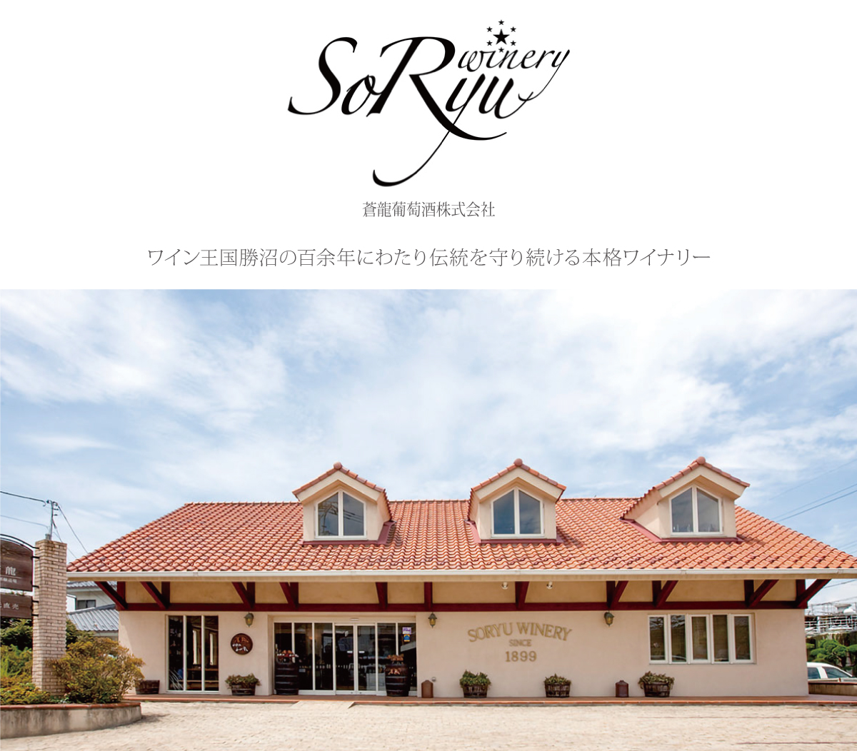 蒼龍葡萄酒 蒼龍ワイナリー 無添加 あじろん 初しぼり 2025年 正規品