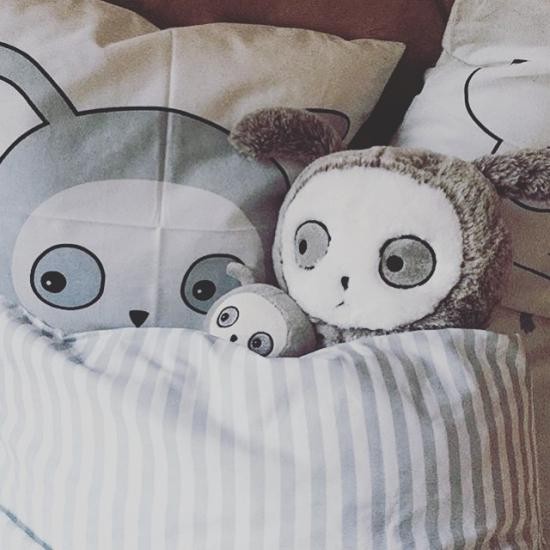 ラッキーボーイサンデー/PLUSHフレンズ