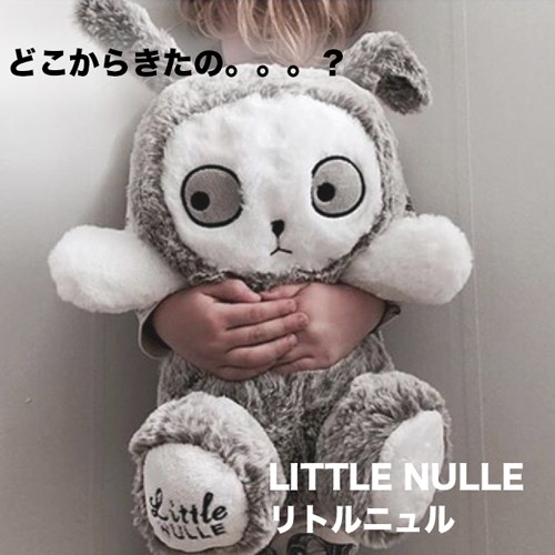 ラッキーボーイサンデー/PLUSHフレンズ