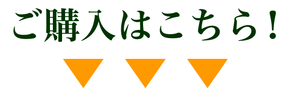 ご購入はこちら！