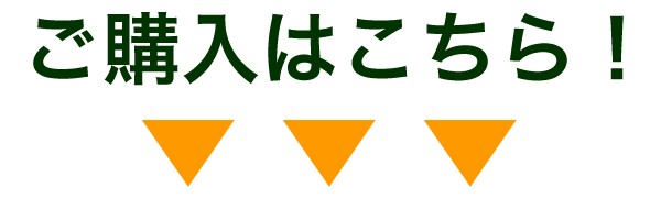 ご購入はこちら！