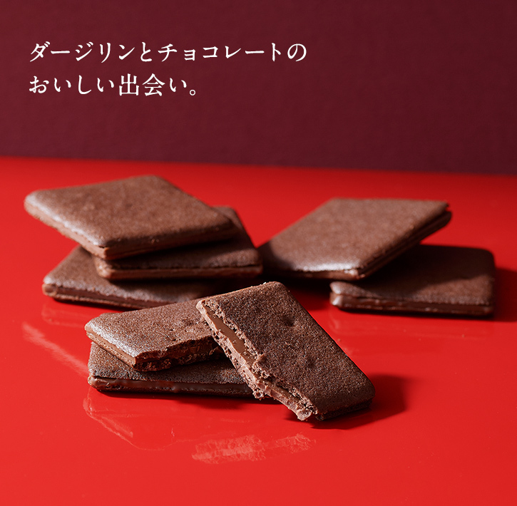 クリスマス チョコ ギフト ルタオ テノワール 9枚入 個包装 紅茶 チョコレート クッキー クリスマスギフト 2021 北海道 Letao 小樽洋菓子舗ルタオ 通販 Paypayモール