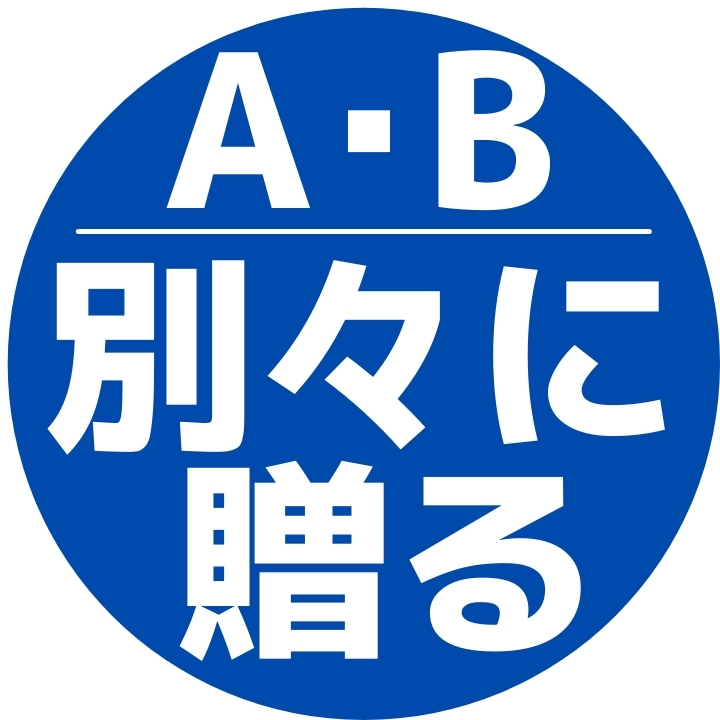 父の日 早割 2024 プレゼント ペアギフト 夫婦茶碗 美濃焼「＆藍」 ペア セット 食器 母 父 両親 お母さん お父さん ご飯茶碗 箸 扇子 義母 義父 優良｜leun｜02