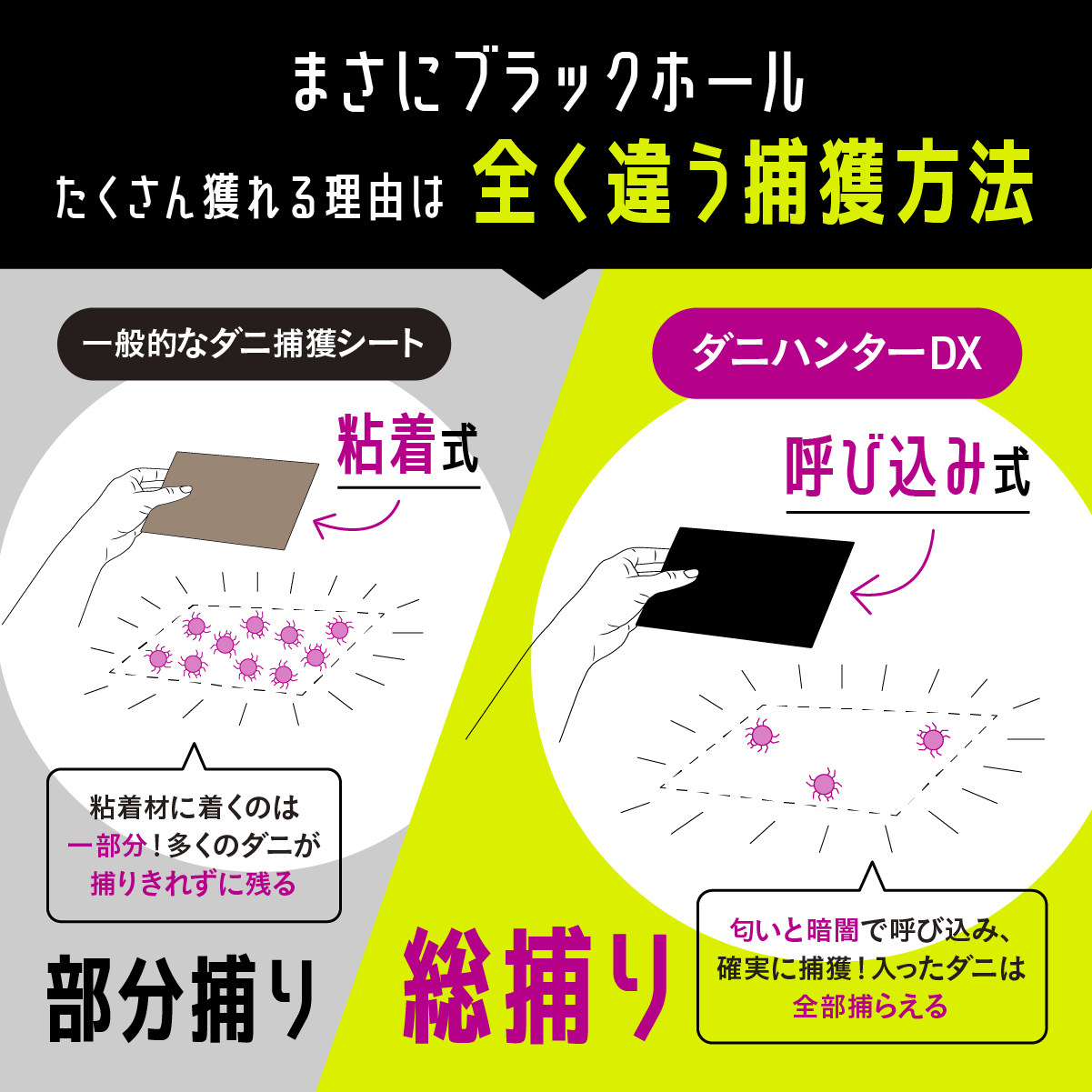 ダニ取りシート ダニハンターDX 3枚入り 3か月持続 ダニトリシート