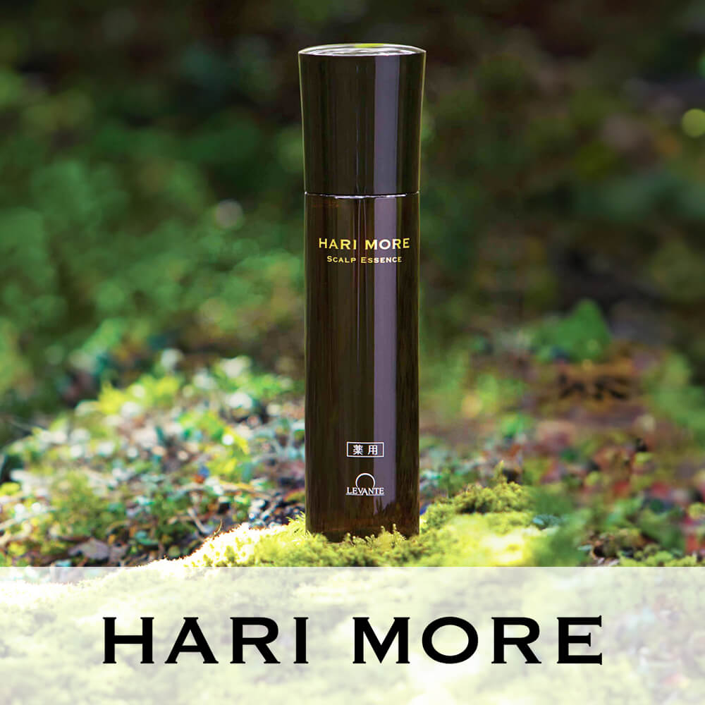 HARI MORE(ハリモア)