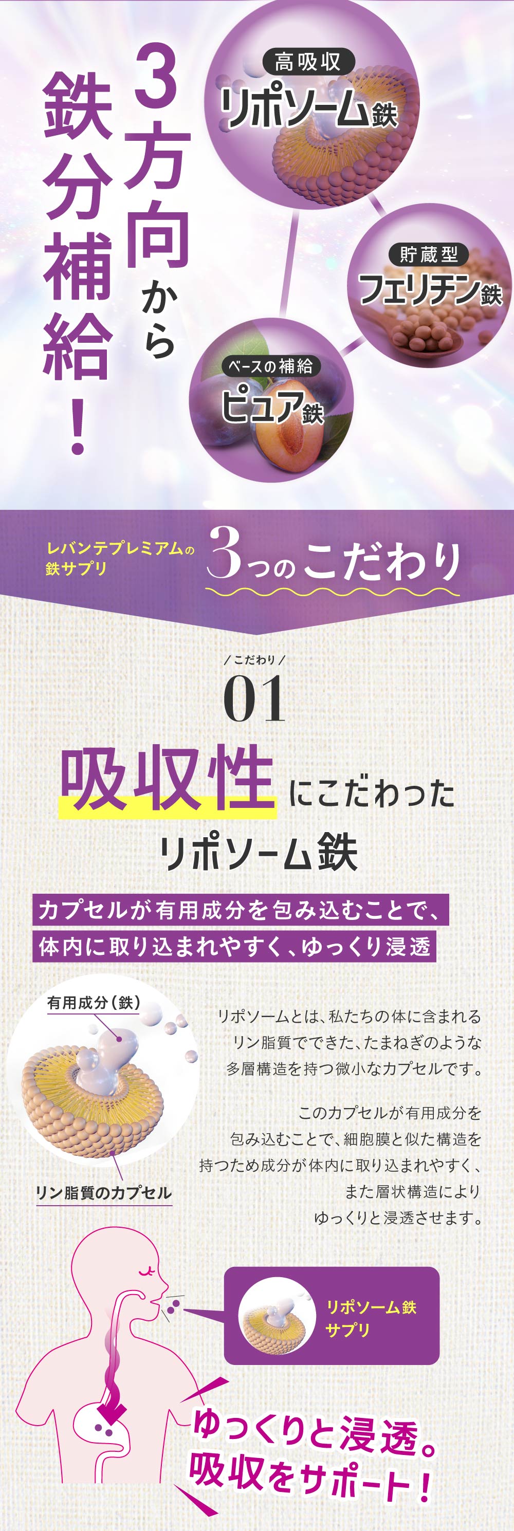 レバンテプレミアム 鉄サプリ width=