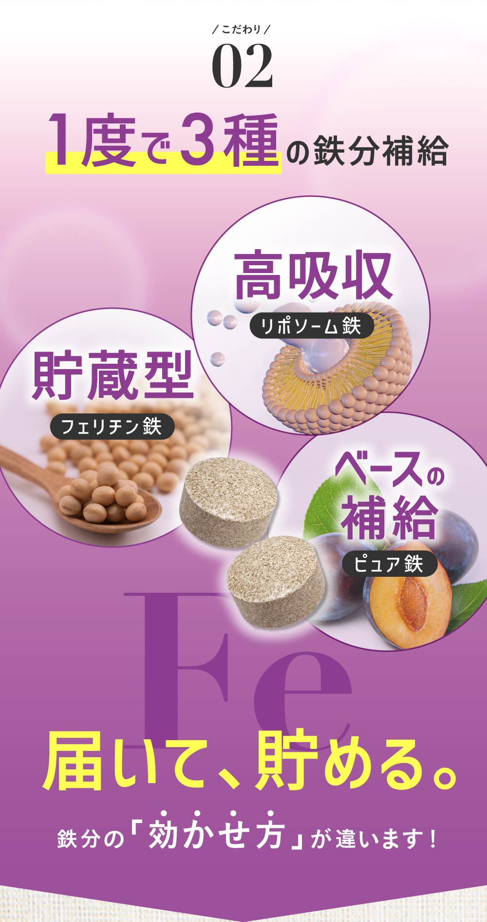 レバンテプレミアム 鉄サプリ width=
