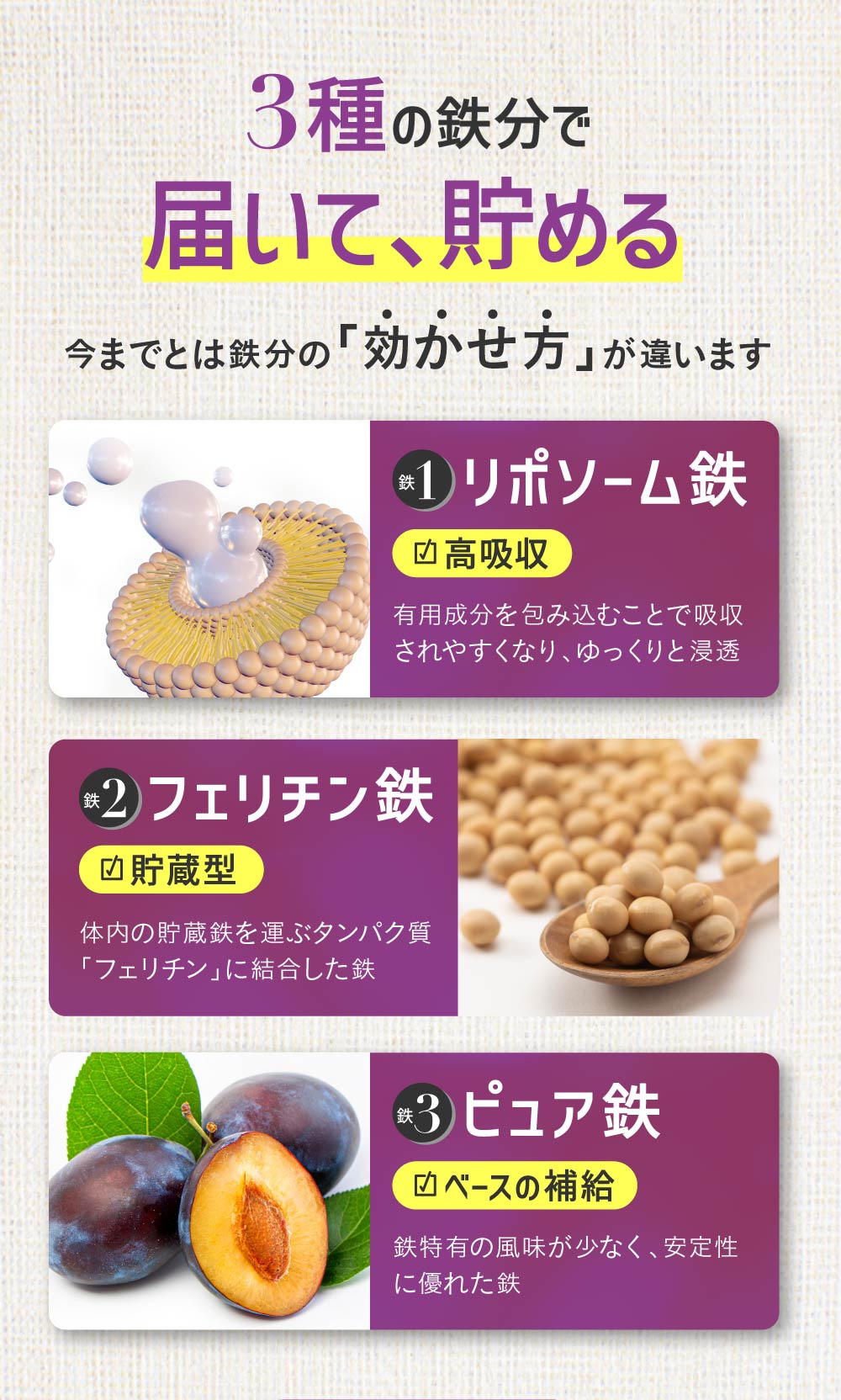 レバンテプレミアム 鉄サプリ width=