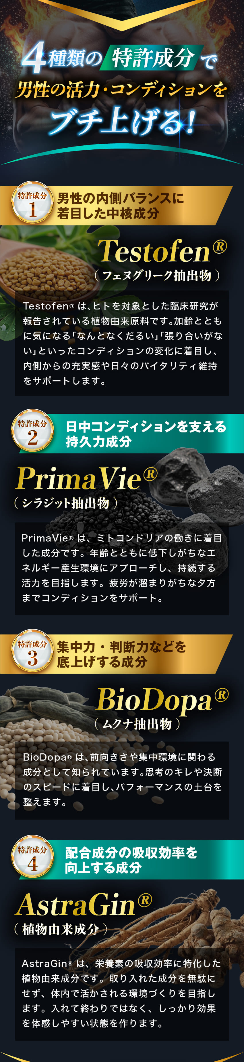 特許成分説明