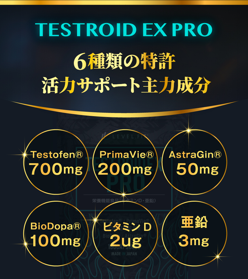 6種の活力成分