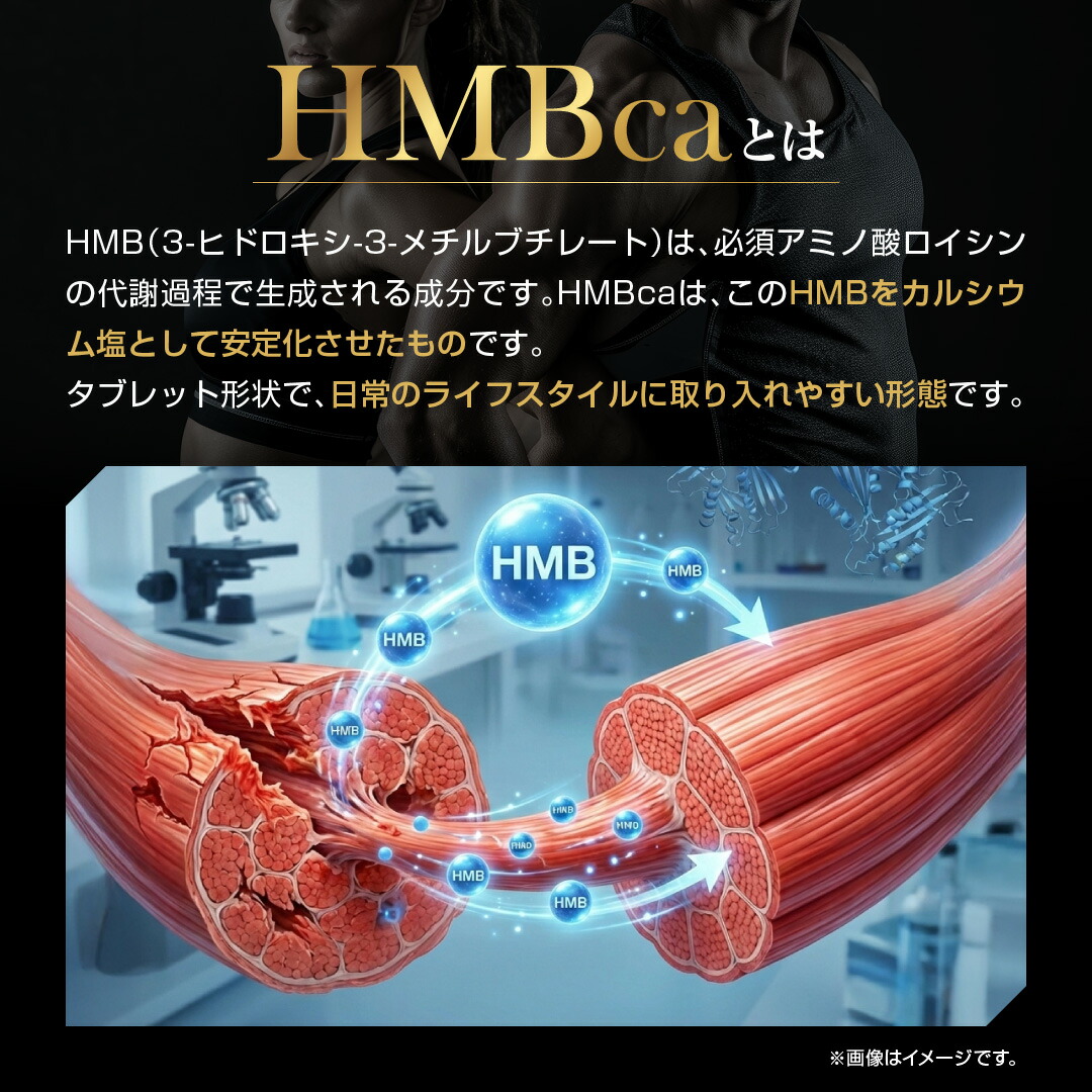 HMBcaとは