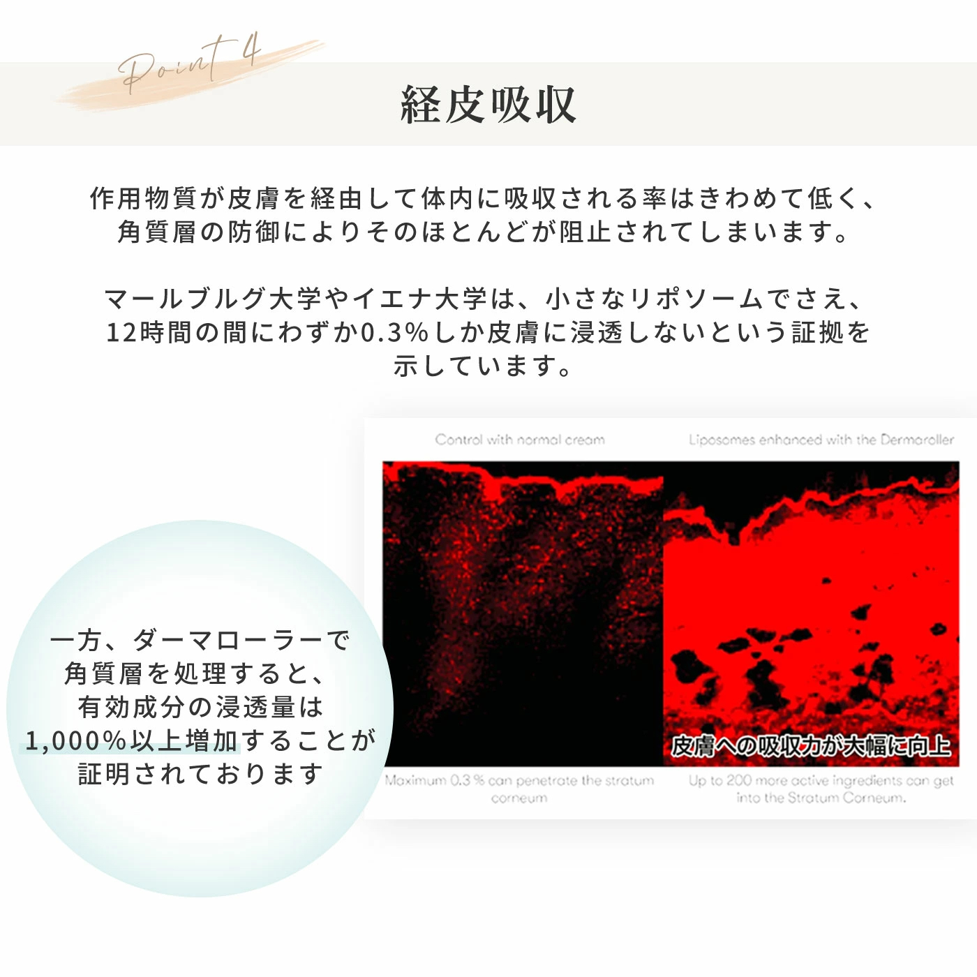 経皮吸収。ダーマローラーで角質層を処理すると、有効成分の浸透量は1,000%以上増加することが証明されております。