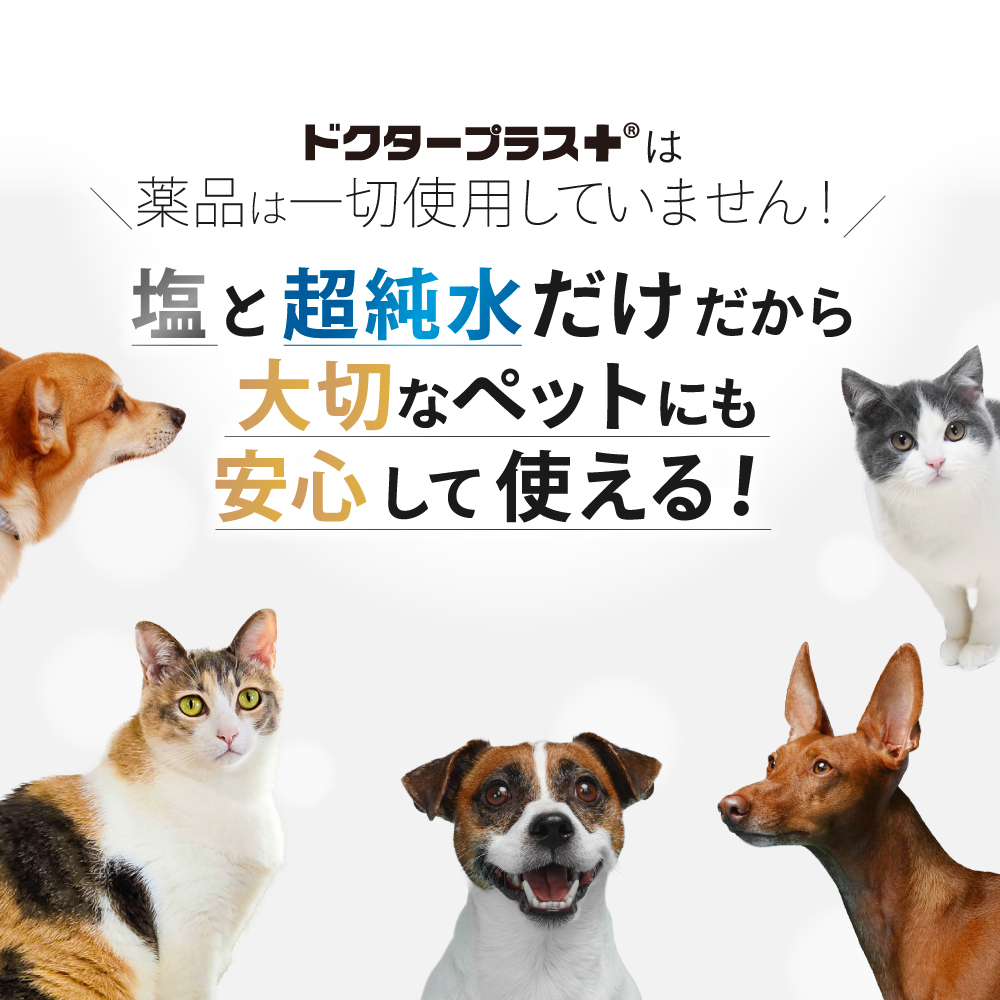 次亜塩素酸水 600ppm ドクタープラス 大容量原液 10L Dr.PLUS 業務用