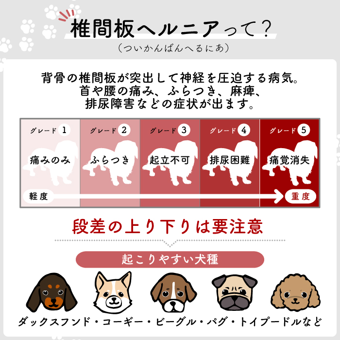 ドッグステップ 3段 犬用ステップ ペットスロープ 犬 ペット らくだん ステップ スロープ 階段 踏み台 ペットステップ 関連画像3