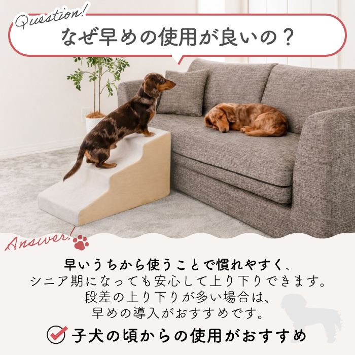 ドッグステップ 3段 犬用ステップ ペットスロープ 犬 ペット らくだん ステップ スロープ 階段 踏み台 ペットステップ 関連画像5